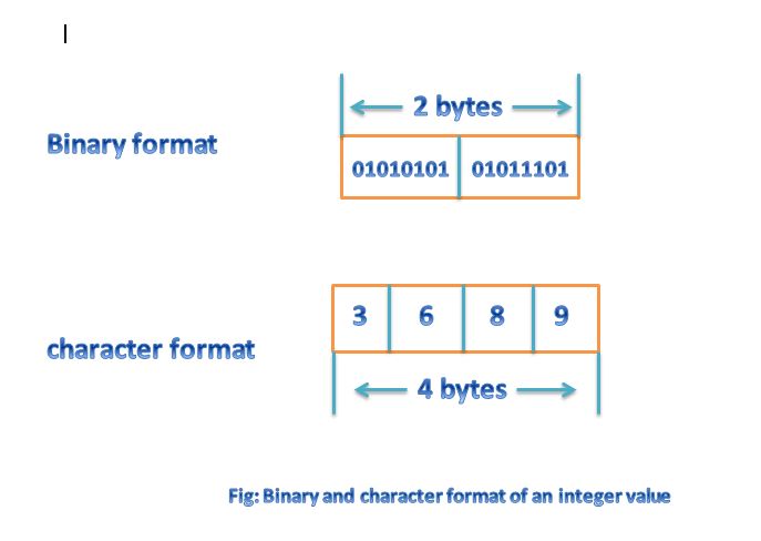 binary and character format of an integer value picture 
